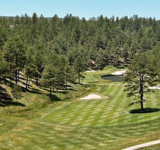 Forest Creek Golf Club Course Review