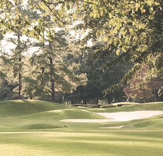 Starmount Forest Country Club Course Review