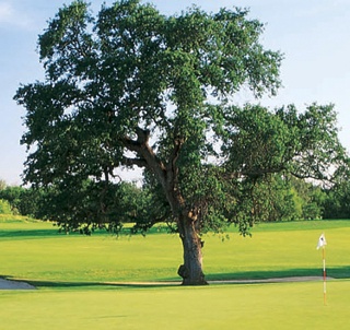 Granite Bay Golf Club Course Review