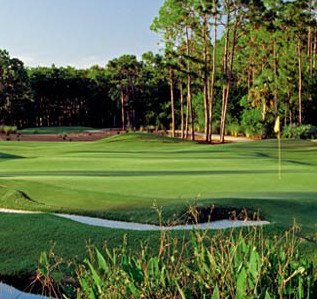Old Marsh Golf Club Course Review