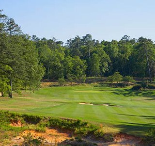 Palmetto Golf Club Course Review