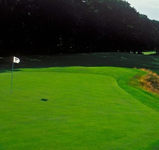 The Course at Yale  Club Review